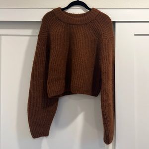 H&M Wool/Alpaca Blend Sweater